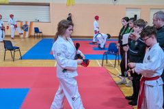 PXL_20240526_125315247.MP_-1-scaled