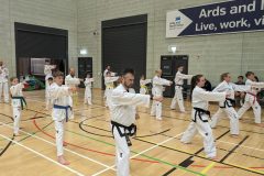 PXL_20240618_175252341.MP2_-scaled