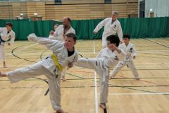 PXL_20240618_175711405.MP_-scaled