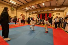 PXL_20240623_100117411.MP_-1-scaled