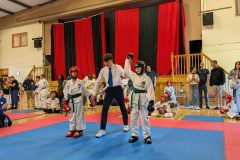 PXL_20240623_111350959.MP_-1-scaled