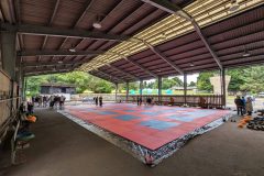 PXL_20240701_112116509.MP_-scaled