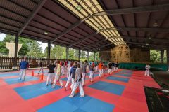 PXL_20240701_131827146.MP_-scaled