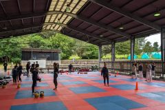 PXL_20240703_100204800.MP_-scaled