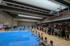 PXL_20241006_104617322-scaled