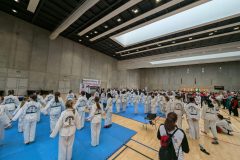 PXL_20241006_112505912-scaled