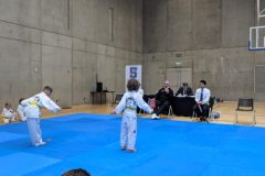 PXL_20241006_114140729-scaled