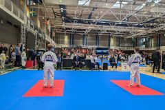 PXL_20241103_110920053.MP_-scaled