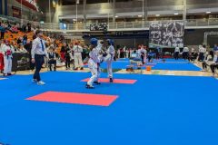 PXL_20241103_174224828-scaled