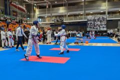 PXL_20241103_174239987-scaled