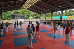 PXL_20250708_093231896.MP_-scaled