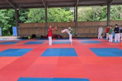 PXL_20250708_095929155.MP_-scaled