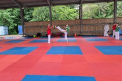 PXL_20250708_095931335.MP_-scaled