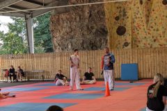 PXL_20250710_084247524.MP_-scaled